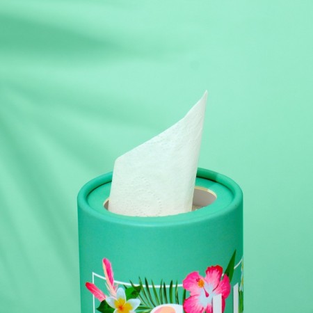 Napkins in a tube 50 pcs, 2 layers "Summer"-2