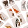 Pictures-Polovinki "Animals"