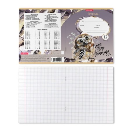 Notebook of 12 sheets in the Erichkrause "Dream Owl", the cover coated cardboard, an offset unit-1