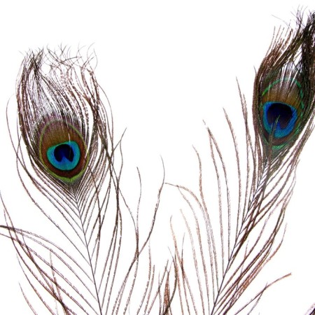 Feather of peacock for decor, set of 3 pcs., Size 1 pc. - from 25 to 30 cm-6
