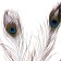 Feather of peacock for decor, set of 3 pcs., Size 1 pc. - from 25 to 30 cm
