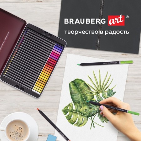 Pencils of 48 colors, Brauberg Art Premiere, 4 mm diameter, in a metal pencil case-16