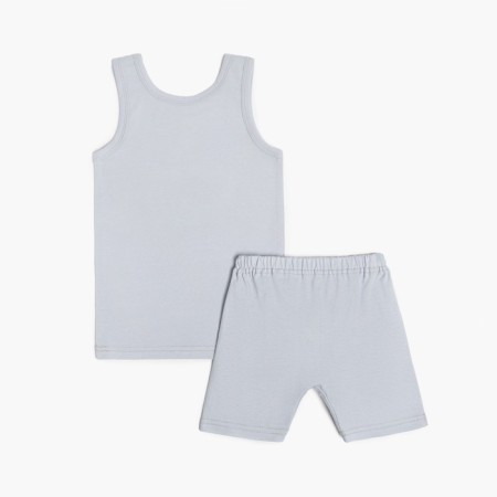 Set for a boy (T -shirt, panties), gray color/Summer, height 104 cm-2