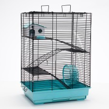 The cage for rodents 