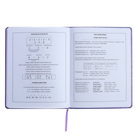 Universal Diary Grade 1-11, 48 sheets "Girl on the Moon", solid cover of artificial leather, applique, liesa, OFSET block-14