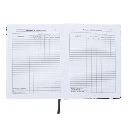 Diary 1-11 Grade "Hyipa duck", artificial leather, selective varnish, 48 sheets-7