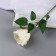 Artificial flowers "Tea extract" D-7 cm 44 cm, white