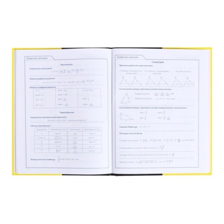Universal diary for grades 5-11 Black & Yellow, solid cover, glossy lamination, 48 sheets-10
