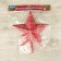 Tip "star" of the face, 20.5x22.5 cm, red