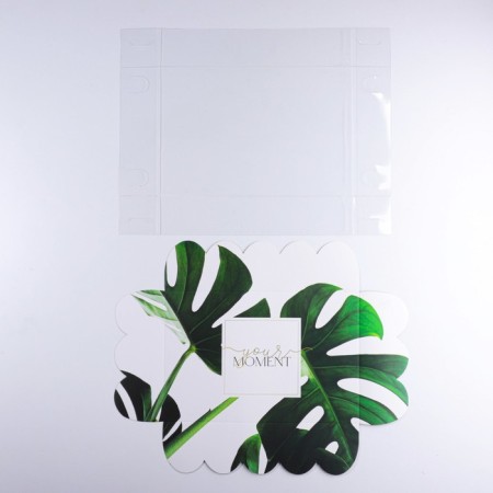 Cookie box, confectionery packaging with PVC lid, eco, 20 x 30 x 8 cm-4