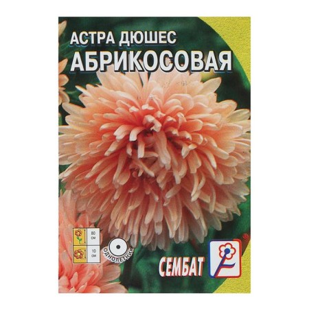 Seeds of flowers Astra Pionovid "Apricot", 0.2 g