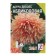 Seeds of flowers Astra Pionovid "Apricot", 0.2 g