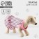 Dress for dogs Culinary, s (DS 27, Osh 32-36, OG 38-42), pink with gray stripes