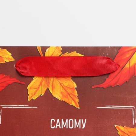Package Gift Laminated Vertical, Packaging, “Teacher of the Year”, Ml 27 x 23 x 11.5 cm-3