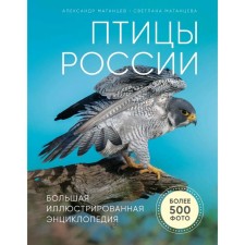 Birds of Russia. Big illustrated encyclopedia