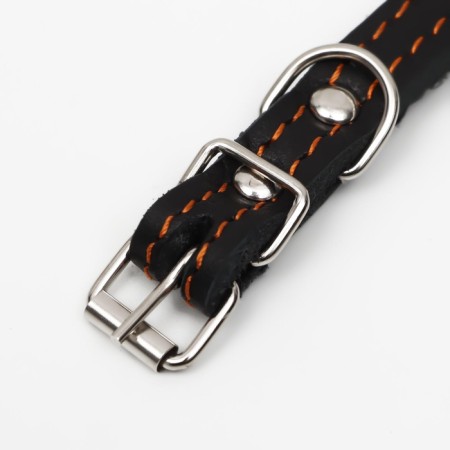 Leather collar on synthetic winterizer, dimensionless, 37 x 1.5 cm, Osh 21-31 cm, black-4