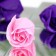 Soap roses, purple and pink, set of 11 pcs.