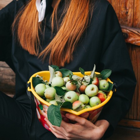 Container for collecting berries, 3 l, "apples", yellow-10