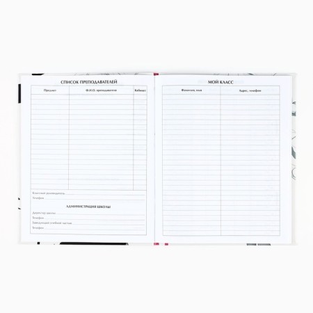 School diary for grade 1-11, in an integrated cover, 40 liters. "Anime. Girl"-1