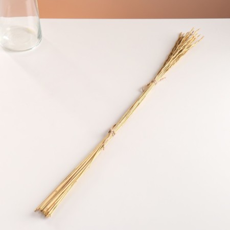 Set of dried flowers "Raigrace", banch 21 pcs, length 60 (+/- 6 cm), natural-3