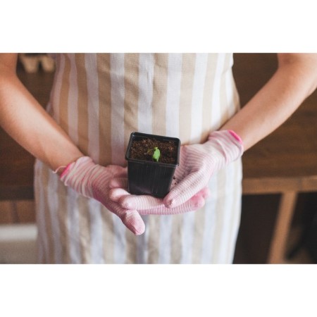 Pot for seedlings, 180 ml, D = 7 cm, h = 6 cm, black, Greengo-4