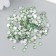 Decor for creativity in the bottle "Rhinas. Light green" set 500 pcs d = 0.5 cm 7x2x2 cm