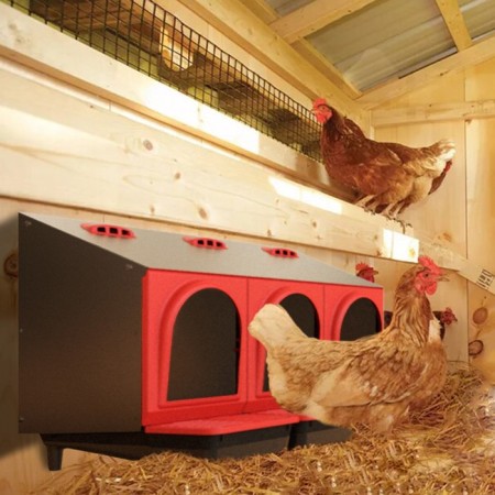 Nest for chickens of layers Platinum, 3 sections, with an ovumer, New-3