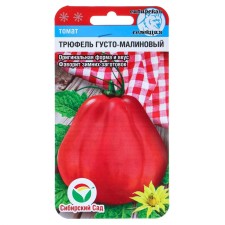 Seed Tomat 