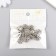 Decor hat for beads diam 1.2 cm Metal "Certificates" silver 1.4x1.4 cm
