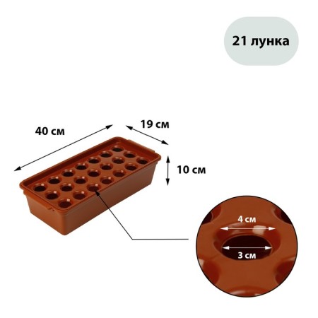 Box for growing green onions, 40 × 19 × 10 cm, 21 holes, red