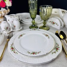 A set of lenardi plates 