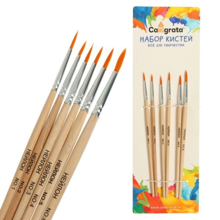 Set of brushes nylon 6 pieces: No. 1, 2, 3, 4, 5, 6, round-4