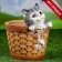 Figure pot "A kitten in a round basket" 20x18cm