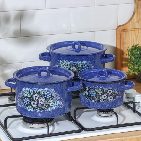 Set of pots "Blue", 3 subjects: 1.5 l, 2.9 l, 4.5 l, enameled covers, induction-3