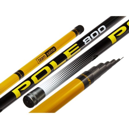 The float rod without rings Team Salmo T Pole, test 2-12 g, length 8 m.-1