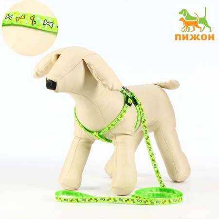 Set "Star Bones", leash 120 x 1 cm, fire 23-35 cm, green