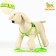 Set "Star Bones", leash 120 x 1 cm, fire 23-35 cm, green