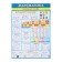 Set of posters "ENGIONAL level - 2" 4 pcs., 30x42.5 cm