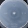 Kashpo for flowers with an “art” insert, 5 l, the color is transparent
