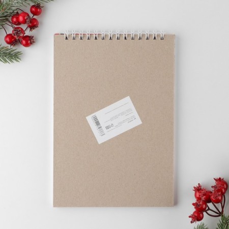New Year. Sketchbook in a thin cover on the crest “With Novokoti!”, A5, 40 sheets, 100g/m2-4