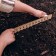 Seed landing line, 30 cm, Greengo