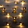 Garland “thread” 2 m dews with nozzles “bird”, IP20, silver thread, 20 LED, glow warm white, AAX2