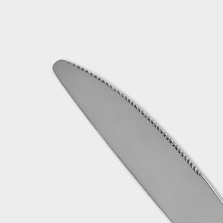 Tining stainless steel knife "Typhoon", length 22.5 cm, silver color-2