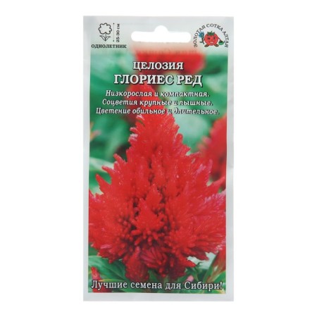 Flower seeds Holosia "Glories Red Perist", 10 pcs