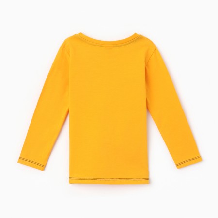 Longslit for a boy, yellow color, height 80 cm-3