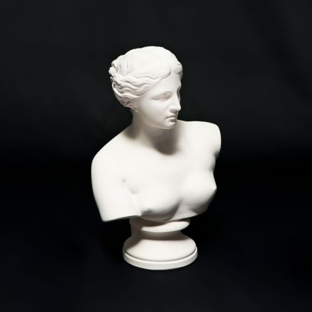 Гипсовая фигура Академическая Бюст Венеры Милосской 25,5*11*16,5 10-196-8