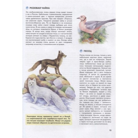 Nature of Russia. Illustrated Encyclopedia. Svechnikov V., Romanova T.-4