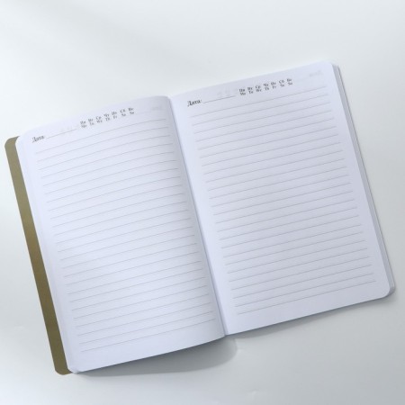 Diary A5+, 100 sheets soft region.-4