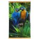 Home Heater Parrot, Infrared, 500 W, 15 m²