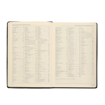 Deliciper of Leduced A5, 160 sheets Megapolis, hard cover, artificial leather, black-6